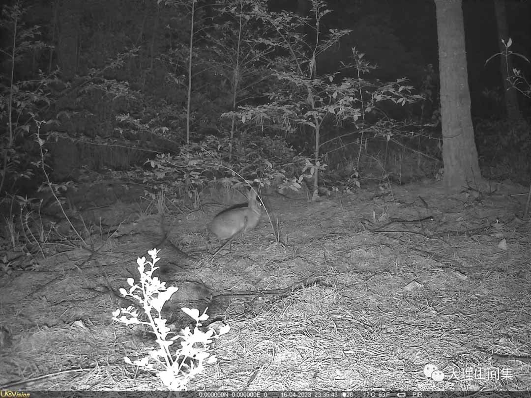 1714112956842687.jpg 2.jpg