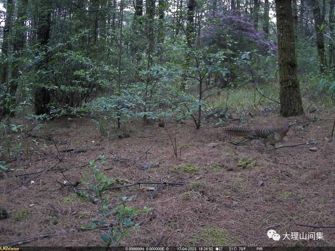 1714112964307472.jpg 3.jpg