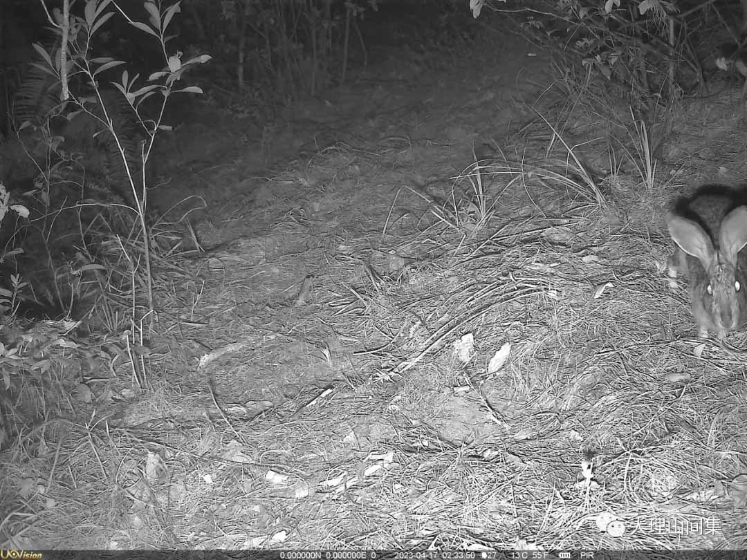 1714112971597994.jpg 4.jpg