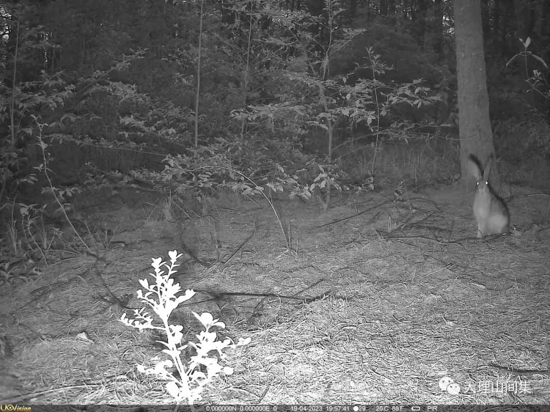 1714112978322894.jpg 5.jpg