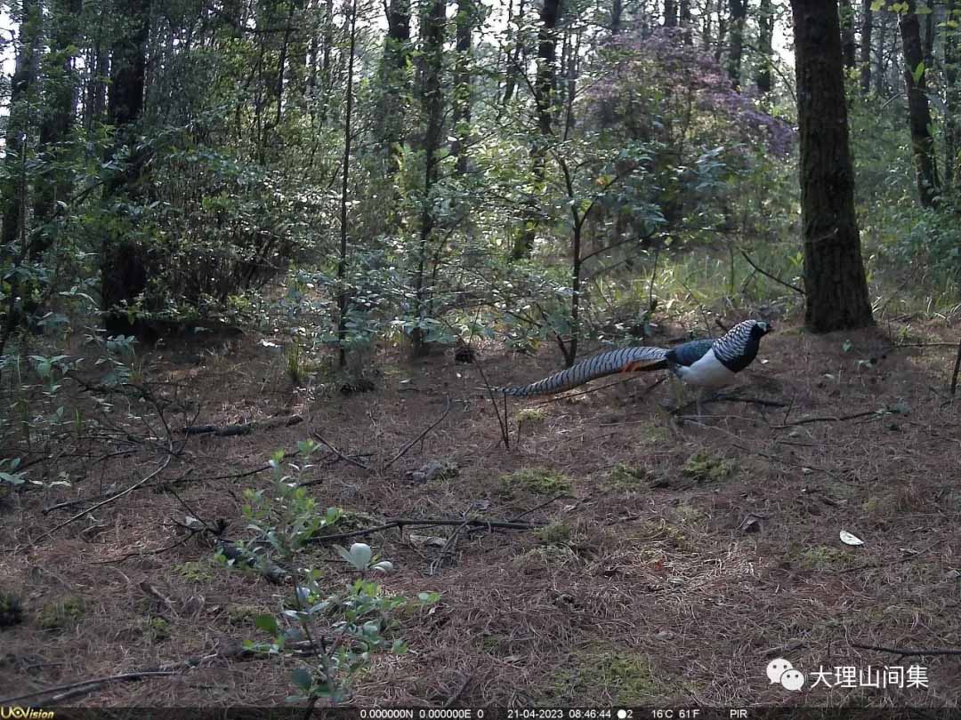 1714112984563676.jpg 6.jpg