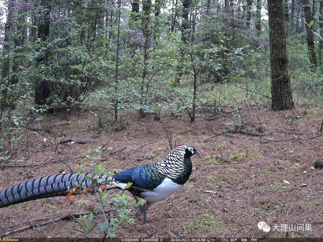 1714112996787185.jpg 8.jpg