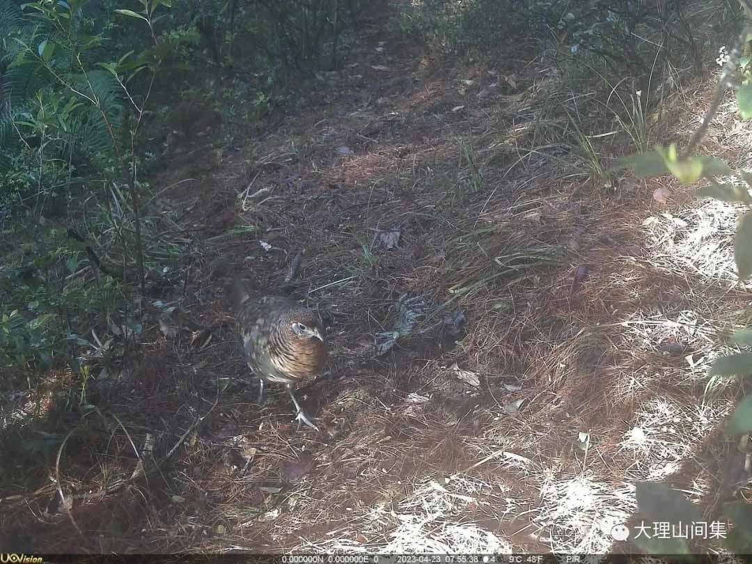 1714113003891394.jpg 9.jpg