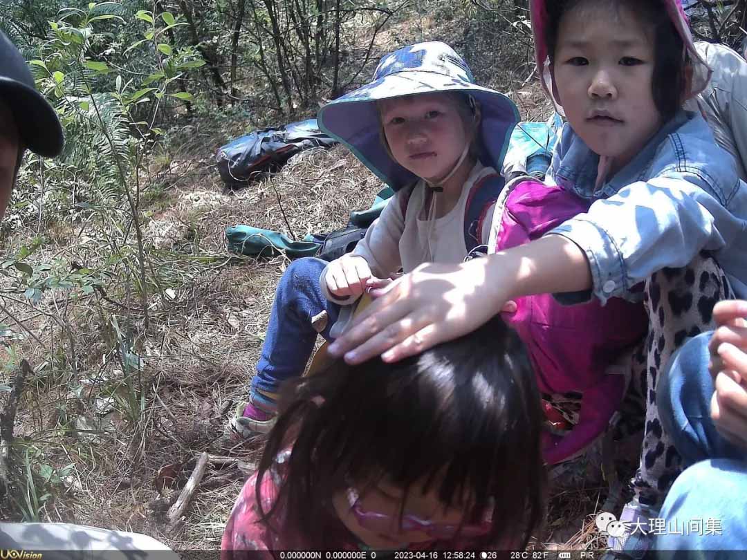 1714113009570657.jpg 10.jpg