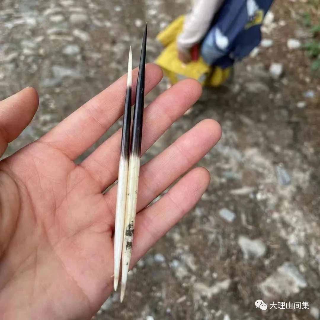 1714113025800861.jpg 12.jpg