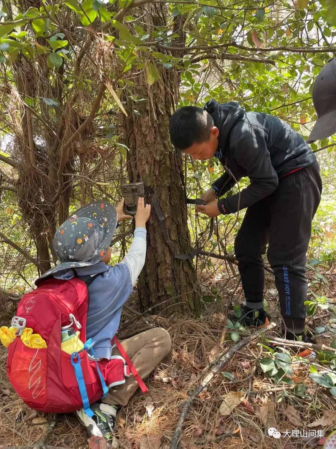 1714113066622858.jpg 13.jpg