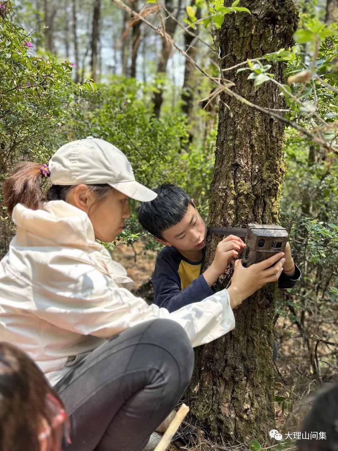 1714113090758738.jpg 14.jpg