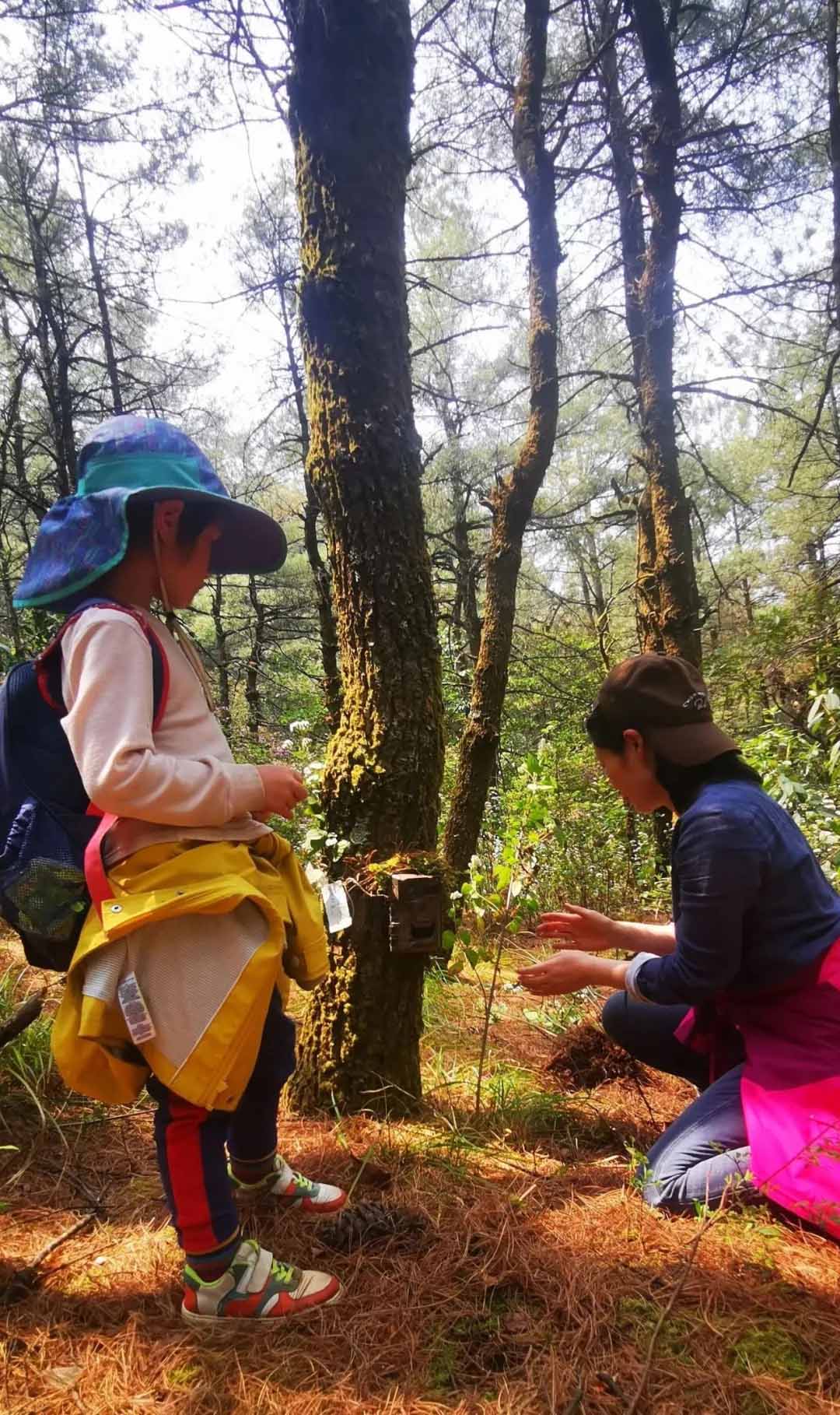 1714113097595635.jpg 15.jpg