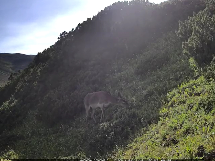 1714117375109553.png 2.png