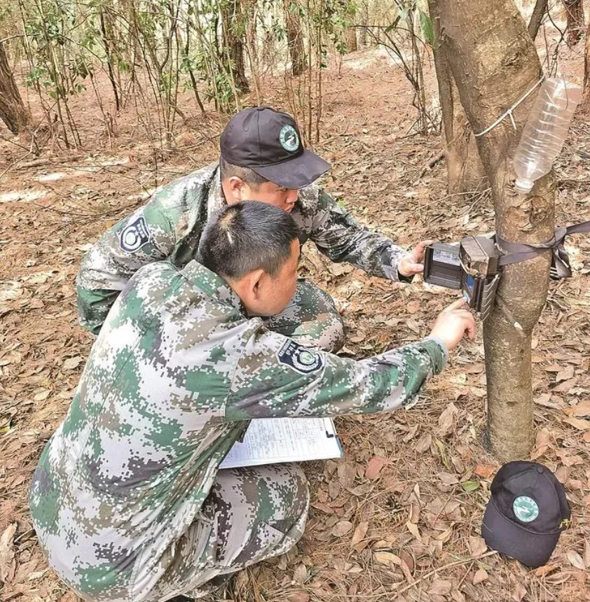 1714276176608925.png 1.png