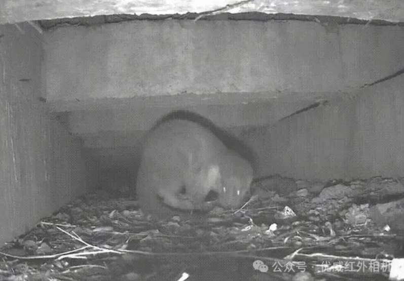 1714276341200886.png 1.png