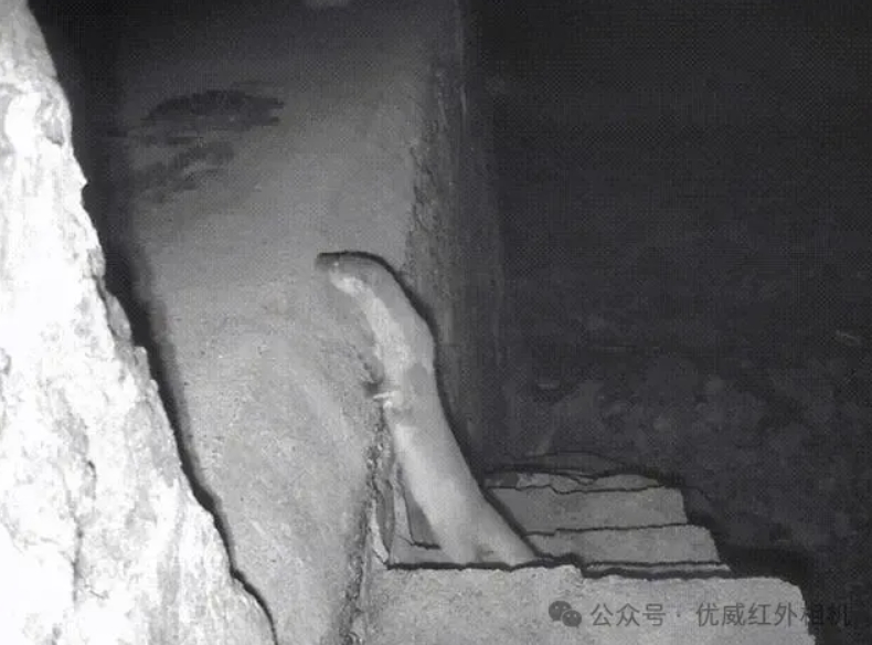 1714276353637454.png 2.png