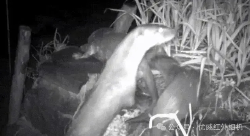 1714276362988090.png 3.png