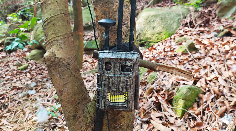 1715997265430698.jpg 22.jpg