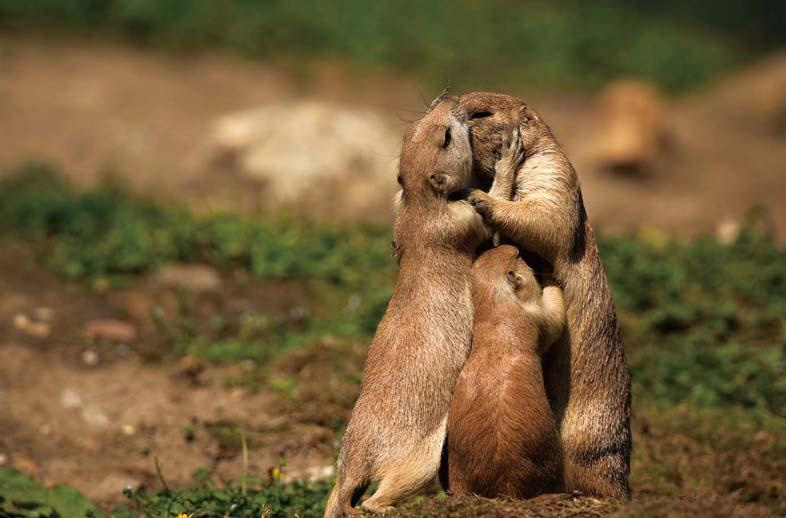 1715997277488884.jpg 官網(wǎng)新聞封面.jpg