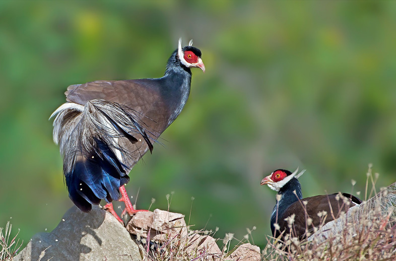 1715999167210276.jpg 官網新聞封面.jpg