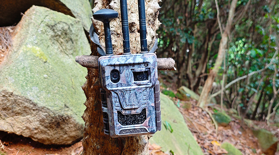 1719537706681383.jpg 11.jpg