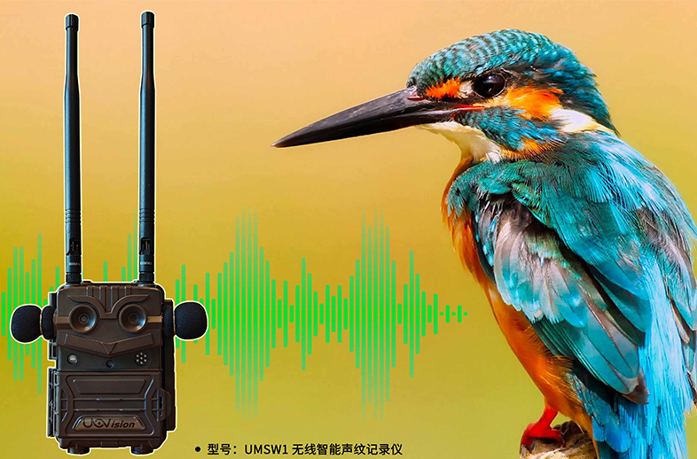 優威聲紋記錄儀：AI+聲紋技術如何重塑野生動物監測的邊界？