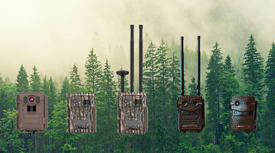 1741579004698952.jpg 未標(biāo)題-1.jpg