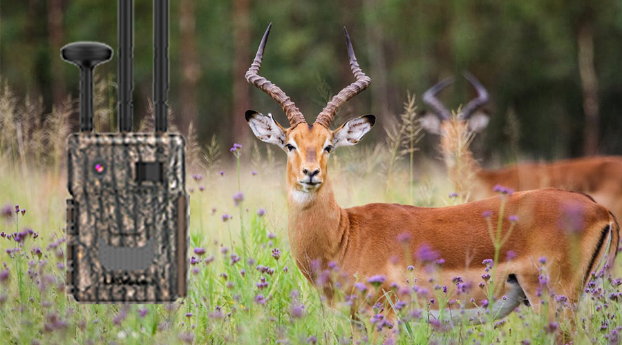 1741579060386557.jpg 未標(biāo)題-2.jpg