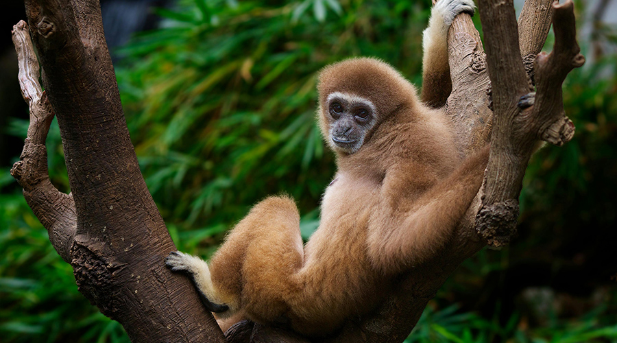 1741579139200409.jpg 未標(biāo)題-5.jpg