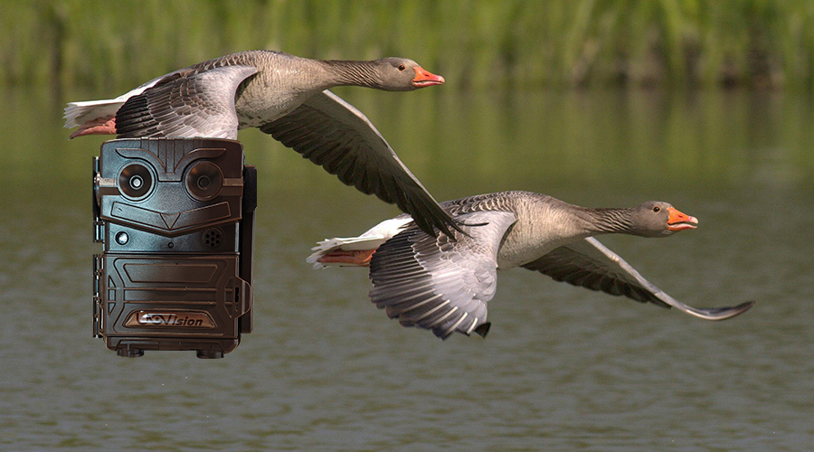 1741583905655006.jpg 22.jpg