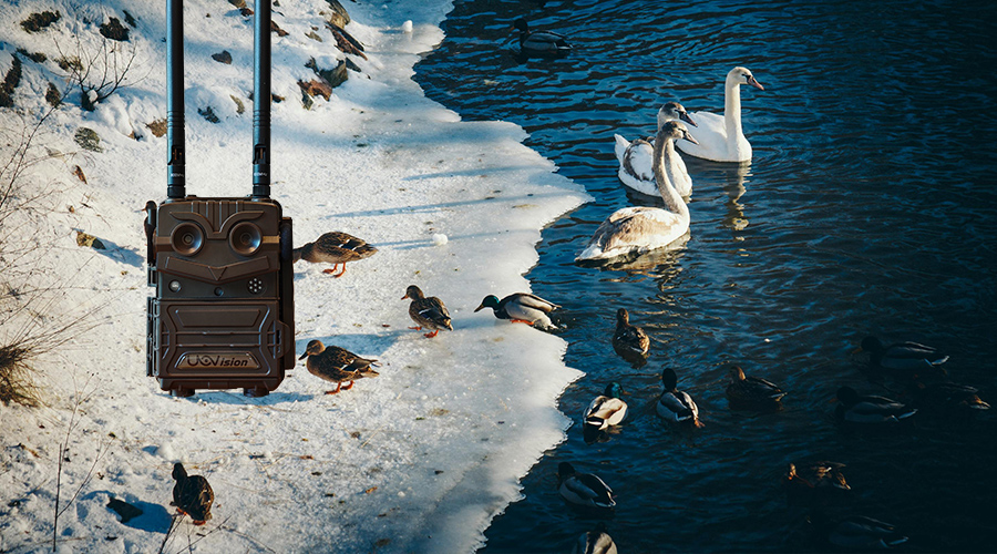 1741583920619524.jpg 33.jpg