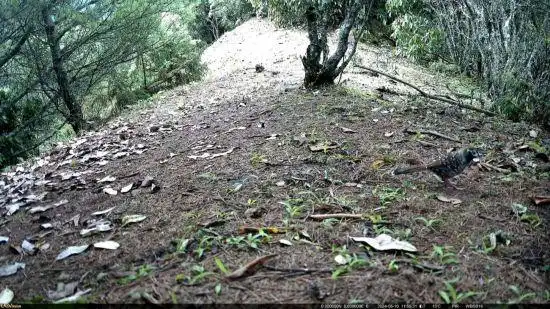 1742362479720710.png 1.png