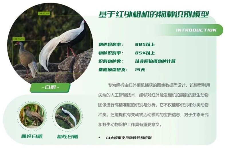 優(yōu)威視訊AI物種識(shí)別模型：紅外相機(jī)+聲紋技術(shù)推動(dòng)生物多樣性科研進(jìn)入智能時(shí)代