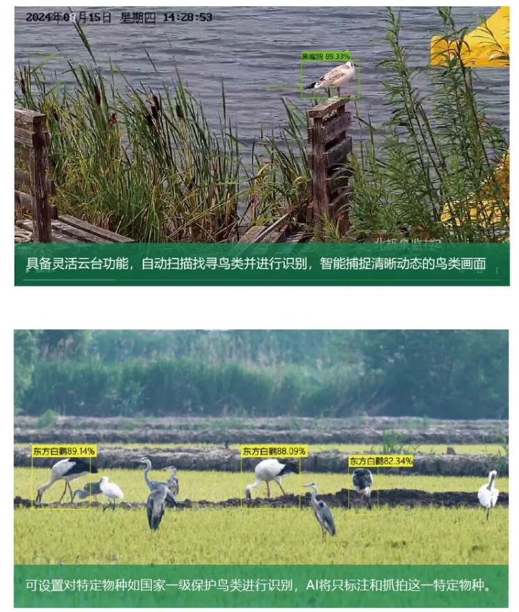 1757037749662946.png wechat_2025-09-05_094905_884.png